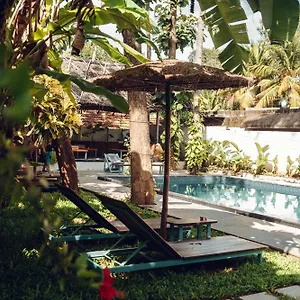 Paddlecult Surf Retreat Inde